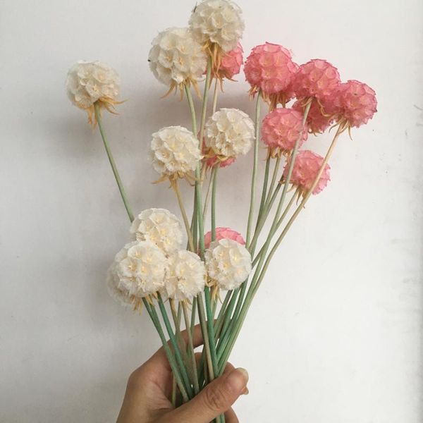 decorative flowers & wreaths 5pcs/lot preserved real walden flower,diy nature fresh eternell floral, wedding home eternelle rose gift decora
decorative flowers & wreaths 5pcs/lot preserved real walden flower,diy nature fresh eternell floral, wedding home eternelle rose gift decora