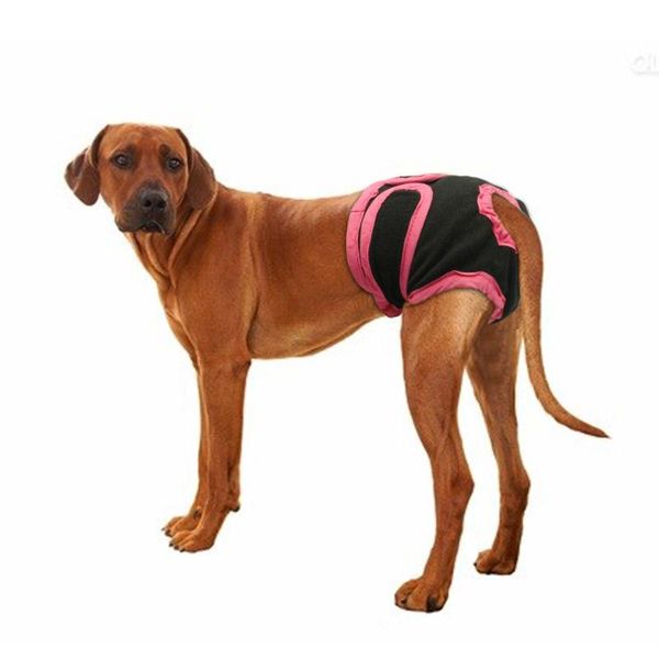 dog apparel physiological pants diaper sanitary washable female panties shorts underwear briefs for dogs
dog apparel physiological pants diaper sanitary washable female panties shorts underwear briefs for dogs