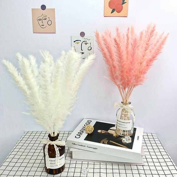 decorative flowers & wreaths 2021 trending products beautiful decoration natural dried pampas grass as gift
decorative flowers & wreaths 2021 trending products beautiful decoration natural dried pampas grass as gift