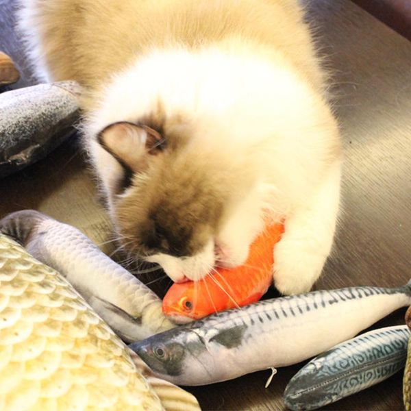 cat toys 3d fish shape toy pet soft plush cute gifts kitty playing catnip stuffed pillow doll creative cats food simulation
cat toys 3d fish shape toy pet soft plush cute gifts kitty playing catnip stuffed pillow doll creative cats food simulation