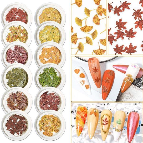 mixed dried leaves nail art diy bottle decoration preserved flower decorations 3d shell1, Silver;gold
mixed dried leaves nail art diy bottle decoration preserved flower decorations 3d shell1, Silver;gold