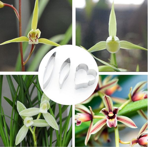 cake tools cymbidium kanran orchid stainless steel british sugar flower cutting mold 3 pieces/set
cake tools cymbidium kanran orchid stainless steel british sugar flower cutting mold 3 pieces/set
