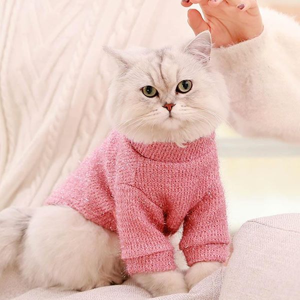 dog apparel cute solid color pet cat knitted sweater shirt winter fleece small chihuahua hoodie clothers coat jacket
dog apparel cute solid color pet cat knitted sweater shirt winter fleece small chihuahua hoodie clothers coat jacket