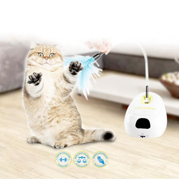 cat toys automatic teaser pet kitten laser exerciser detachable feather wand with base funny entertainment
cat toys automatic teaser pet kitten laser exerciser detachable feather wand with base funny entertainment
