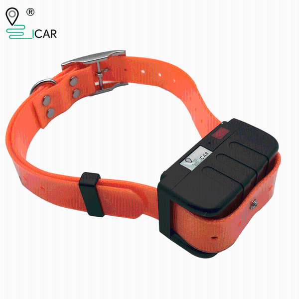 car gps & accessories locator for hunting dog waterproof anti-lost collar midium large no distance limit tracking
car gps & accessories locator for hunting dog waterproof anti-lost collar midium large no distance limit tracking