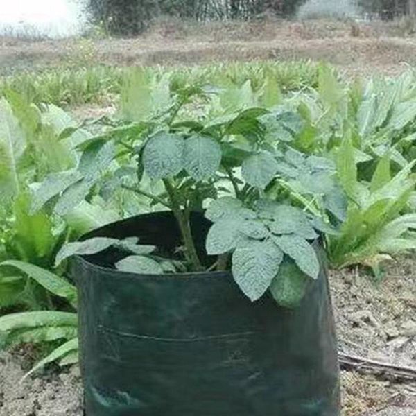 planters & pots plants nursery bags garden bag sack reusable foldable pot planting grow growing vegetables plant growth supplies
planters & pots plants nursery bags garden bag sack reusable foldable pot planting grow growing vegetables plant growth supplies