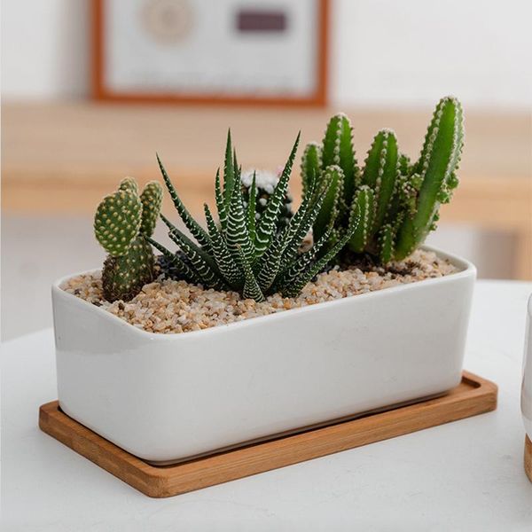 planters & pots home garden simple succulents white porcelain flower round rectangular refreshing ceramic balcony green planting
planters & pots home garden simple succulents white porcelain flower round rectangular refreshing ceramic balcony green planting