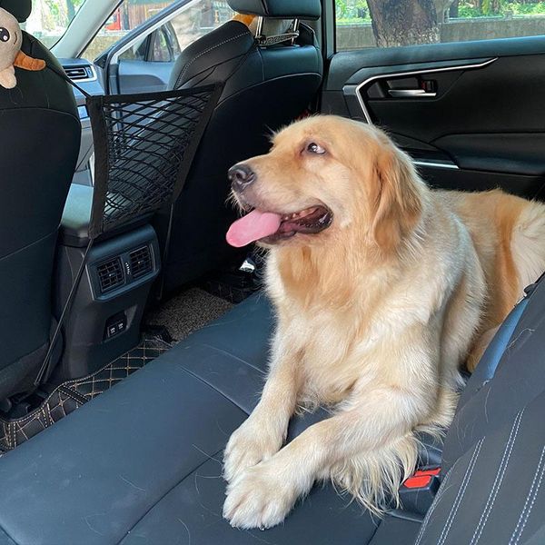 dog car seat covers carrier barrier isolation net for dogs double-layer elastic protector with storage bag
dog car seat covers carrier barrier isolation net for dogs double-layer elastic protector with storage bag