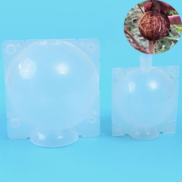 planters & pots 5/8/12cm garden fruit tree plant rooting ball root growing box case grafting rooter grow breeding tools supplies
planters & pots 5/8/12cm garden fruit tree plant rooting ball root growing box case grafting rooter grow breeding tools supplies