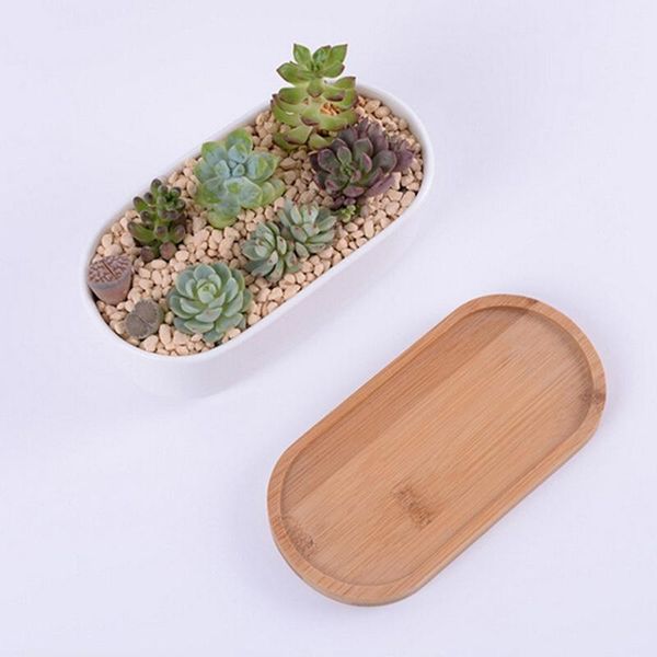 storage plant wooden oval flower pot tray multi-function cushion sturdy succulents bowl mat collection display planters & pots
storage plant wooden oval flower pot tray multi-function cushion sturdy succulents bowl mat collection display planters & pots