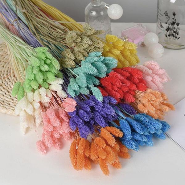 /set natural gradient dry flower bouquet tail grass easter wedding valentine's day gift decor crafts flowers decorative & wreaths
/set natural gradient dry flower bouquet tail grass easter wedding valentine's day gift decor crafts flowers decorative & wreaths