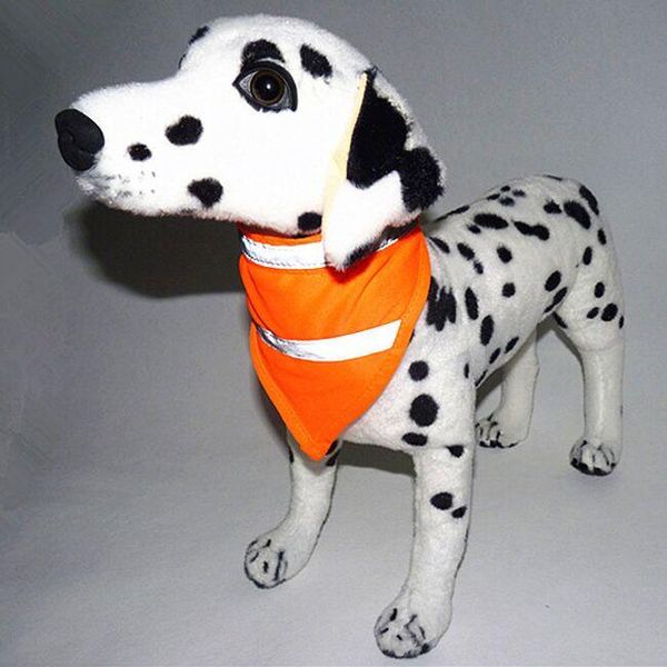 fashion luminous dog collar for small dogs night safety bandana scarf reflective fluorescent pet collars & leashes
fashion luminous dog collar for small dogs night safety bandana scarf reflective fluorescent pet collars & leashes