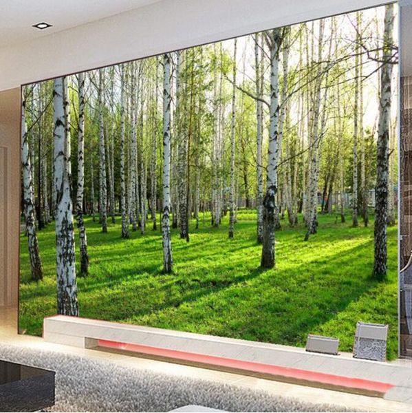 wallpapers birch forest mural po wall paper 3d natural scenery wallpaper for living room bedroom sofa tv background roll
wallpapers birch forest mural po wall paper 3d natural scenery wallpaper for living room bedroom sofa tv background roll