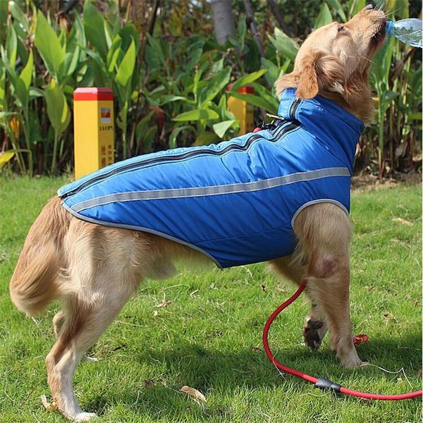 dog apparel xl-6xl plus size large dogs winter parkas windproof jackets for big pet antistatic coats pitbull labrador doberman clothing
dog apparel xl-6xl plus size large dogs winter parkas windproof jackets for big pet antistatic coats pitbull labrador doberman clothing