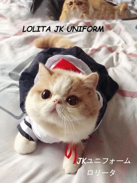 cat cosplay pet clothes lolita dog cute shirt dress thin jk uniform skirt sailor suit hat accessories costumes
cat cosplay pet clothes lolita dog cute shirt dress thin jk uniform skirt sailor suit hat accessories costumes