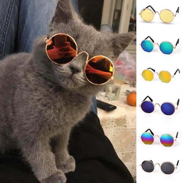 cat toys cute pet glasses products dog accessories pos props eyewear sunglasses 1 pc funny
cat toys cute pet glasses products dog accessories pos props eyewear sunglasses 1 pc funny