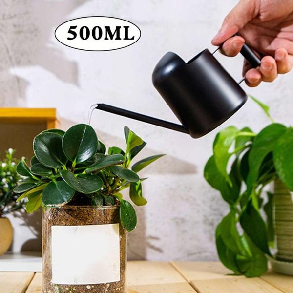 500ml watering can stainless steel small kettle with handle for planting flower plant home darden supplies equipments
500ml watering can stainless steel small kettle with handle for planting flower plant home darden supplies equipments