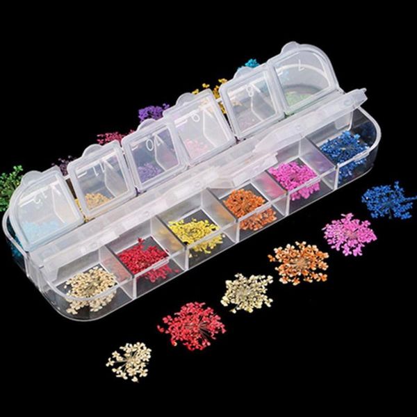 nail art decorations 36pcs dried flower tip multipurpose fine workmanship creative stickers for beauty, Silver;gold
nail art decorations 36pcs dried flower tip multipurpose fine workmanship creative stickers for beauty, Silver;gold