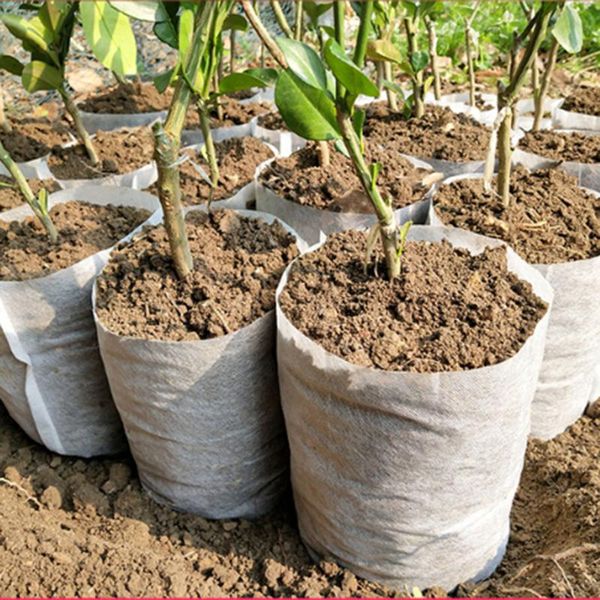 planters & pots 100pcs/set seedling raising bag nursery pot plant flowers pouch garden supply 4 size non-woven grow bags
planters & pots 100pcs/set seedling raising bag nursery pot plant flowers pouch garden supply 4 size non-woven grow bags