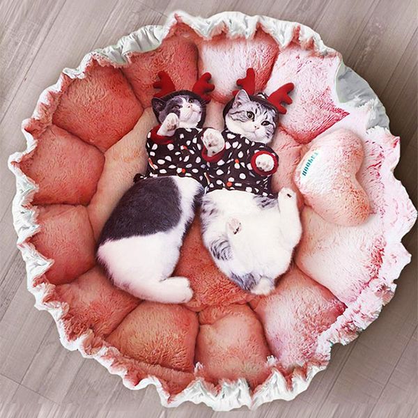 cat bed round plush warm house soft coral fleece pet dog for small dogs nest cushion sleeping sofa mat beds & furniture
cat bed round plush warm house soft coral fleece pet dog for small dogs nest cushion sleeping sofa mat beds & furniture