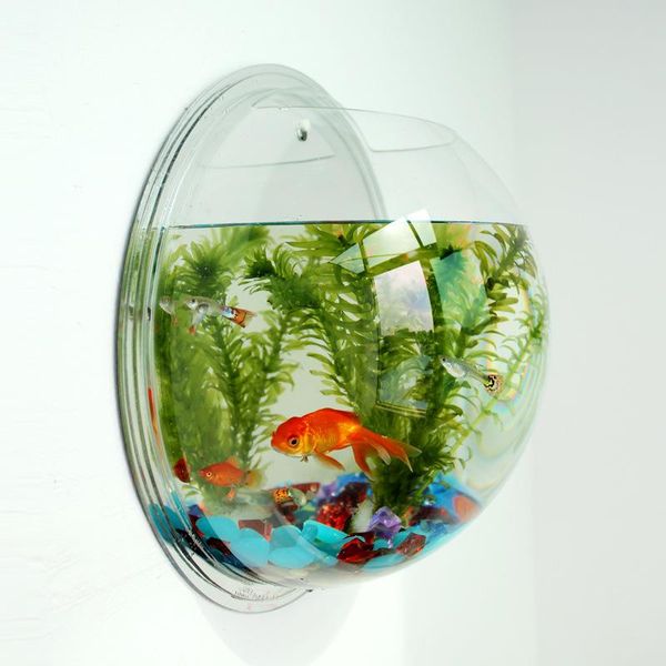mini indoor creative wall hanging aquarium ecological living room desk acrylic goldfish tank aquariums
mini indoor creative wall hanging aquarium ecological living room desk acrylic goldfish tank aquariums