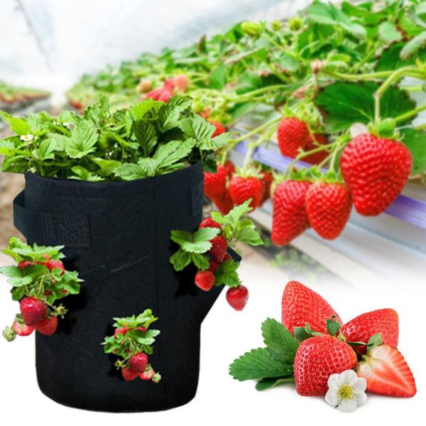 planters & pots strawberry planting growing bag felt cloth container pot thicken garden eco-friendly vegetable
planters & pots strawberry planting growing bag felt cloth container pot thicken garden eco-friendly vegetable