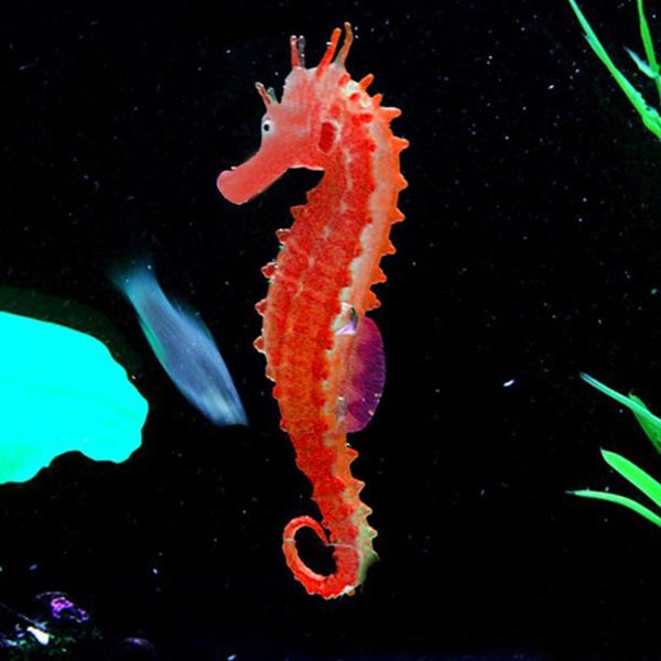 lifelike luminous odorless fluttering silicone safe fish tank aquarium decoration landscaping artificial hippocampus decorations
lifelike luminous odorless fluttering silicone safe fish tank aquarium decoration landscaping artificial hippocampus decorations