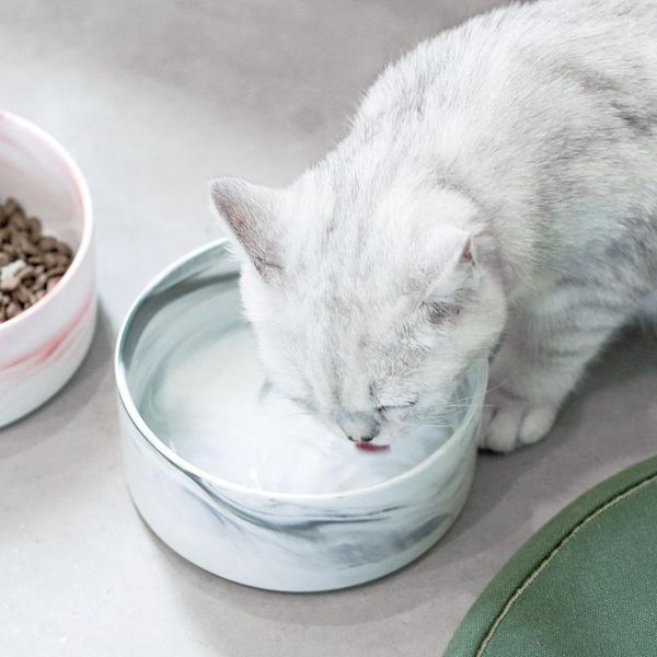 cat bowls & feeders customize elevated wooden insulated personalisedmarble ceramic pet bowl dog
cat bowls & feeders customize elevated wooden insulated personalisedmarble ceramic pet bowl dog