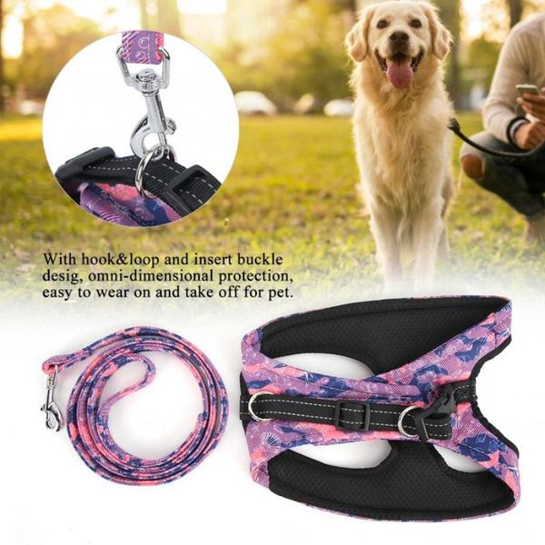 dog collars & leashes adjustable pet harness traction rope set with reflective pattern for small medium size dogs puppy cats harnesses
dog collars & leashes adjustable pet harness traction rope set with reflective pattern for small medium size dogs puppy cats harnesses