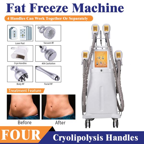 fat e slimming machine cryo lipolysis vacuum cavitation body contouring rf cryolipolysis fat ee slimm machine#005
fat e slimming machine cryo lipolysis vacuum cavitation body contouring rf cryolipolysis fat ee slimm machine#005
