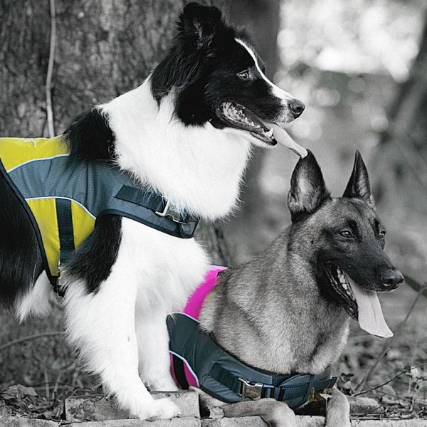 dog collars & leashes soft harness vest adjustable no pull reflective personalized dogs luxury collar honden halsband beagle stuff dd55qy
dog collars & leashes soft harness vest adjustable no pull reflective personalized dogs luxury collar honden halsband beagle stuff dd55qy