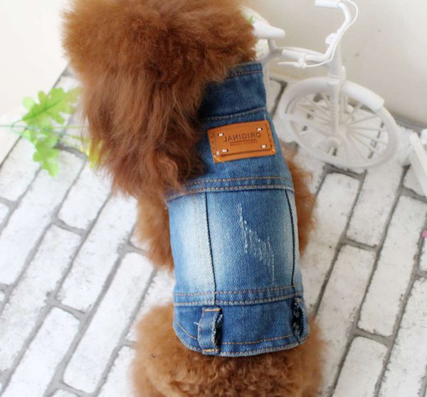 the dog clothes beichong stand collar personality denim vest pet spring summer bear teddy dog clothes
the dog clothes beichong stand collar personality denim vest pet spring summer bear teddy dog clothes