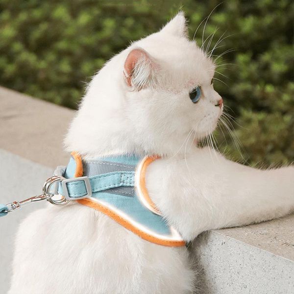 cat collars & leads dounione pet bell bow tie necklace strap for collar dogs accessories adjustable dog puppy ties supplies
cat collars & leads dounione pet bell bow tie necklace strap for collar dogs accessories adjustable dog puppy ties supplies