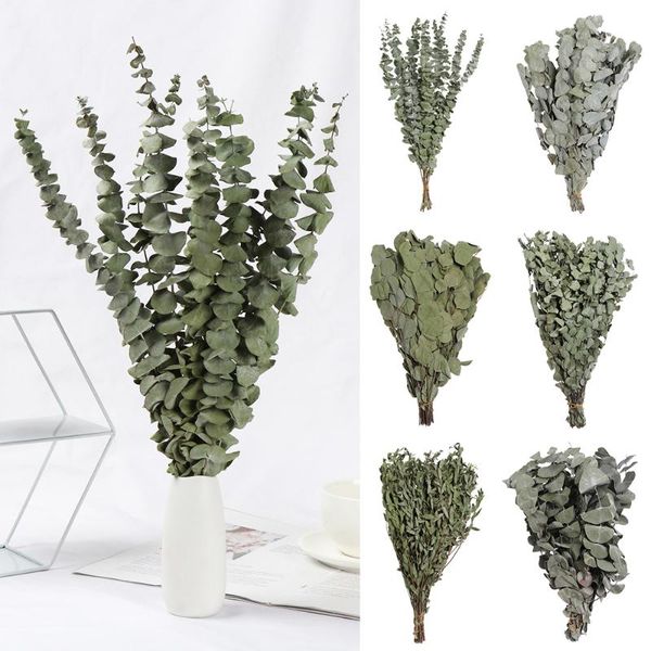 decorative flowers & wreaths 1 bouquet real dried eucalyptus branches preserved fresh flower nature green plant leaves for garden home weddi
decorative flowers & wreaths 1 bouquet real dried eucalyptus branches preserved fresh flower nature green plant leaves for garden home weddi