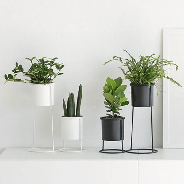 storage bottles & jars nordic ins iron plant pots flower cactus vase living room deskdecoration small ornaments po props
storage bottles & jars nordic ins iron plant pots flower cactus vase living room deskdecoration small ornaments po props