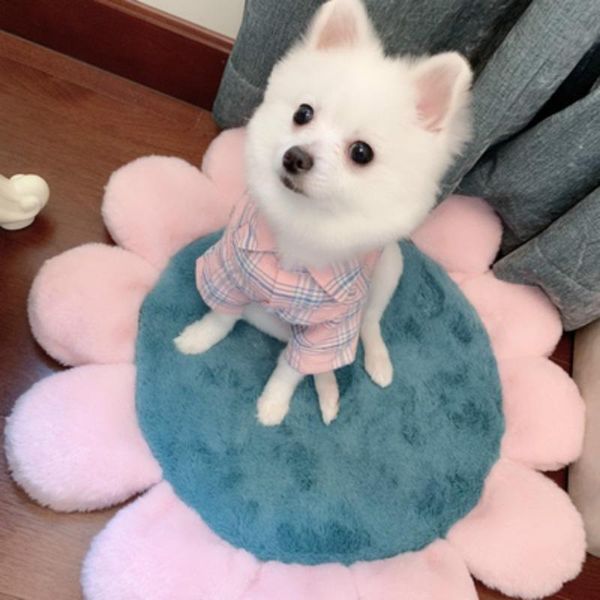 kennels & pens round flower pet bed houses super soft cushion for dog winter warm sleeping tent short plush puppy mat portable cat supplies
kennels & pens round flower pet bed houses super soft cushion for dog winter warm sleeping tent short plush puppy mat portable cat supplies