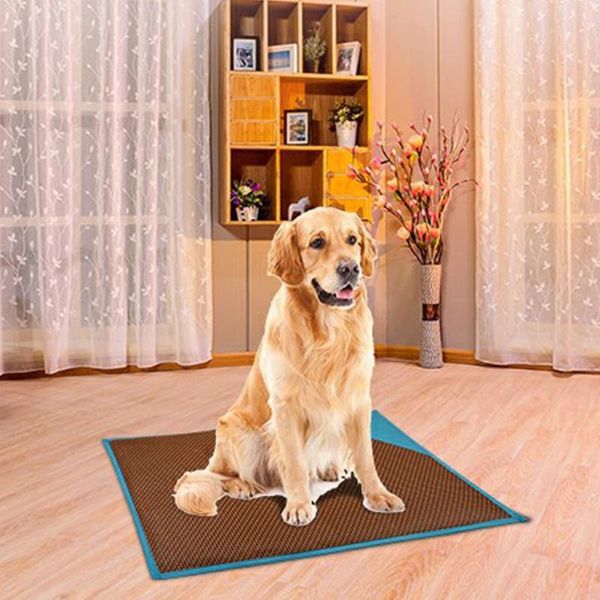 kennels & pens summer bite-resistant dog cat mat sleeping floor nest breathable dehumidified pet cool pets dogs animal pad
kennels & pens summer bite-resistant dog cat mat sleeping floor nest breathable dehumidified pet cool pets dogs animal pad