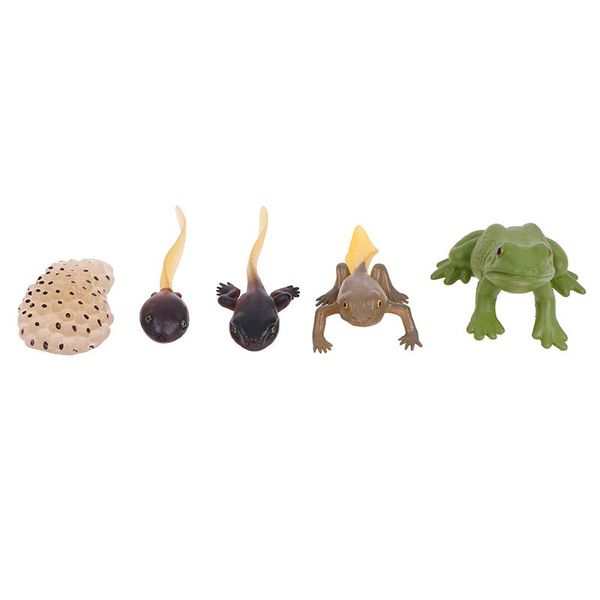 decorative objects & figurines animals growth cycle life model set frog ant mosquito simulation action figures teaching material for kid
decorative objects & figurines animals growth cycle life model set frog ant mosquito simulation action figures teaching material for kid
