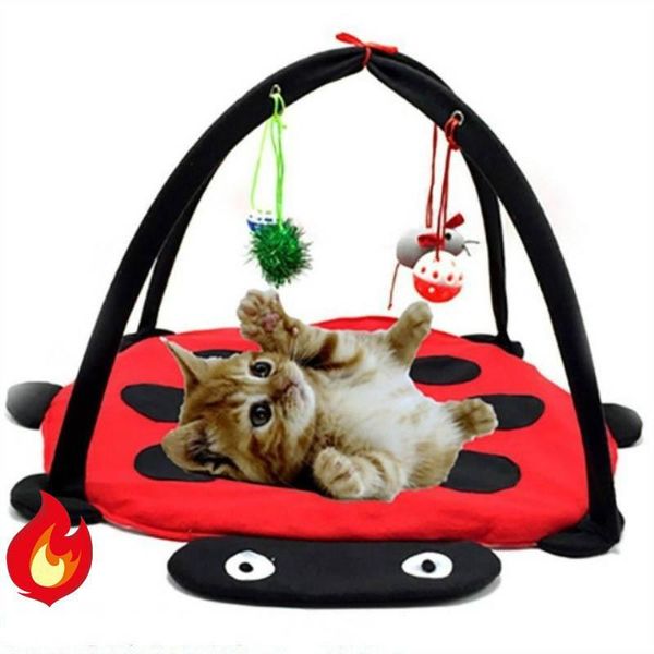 cat beds & furniture red beetle fun bell tent pet toy hammock litter home goods house
cat beds & furniture red beetle fun bell tent pet toy hammock litter home goods house