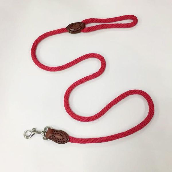 dog collars & leashes handmade nylon leather for medium large leads pet training walking safety mountain climbing rope
dog collars & leashes handmade nylon leather for medium large leads pet training walking safety mountain climbing rope
