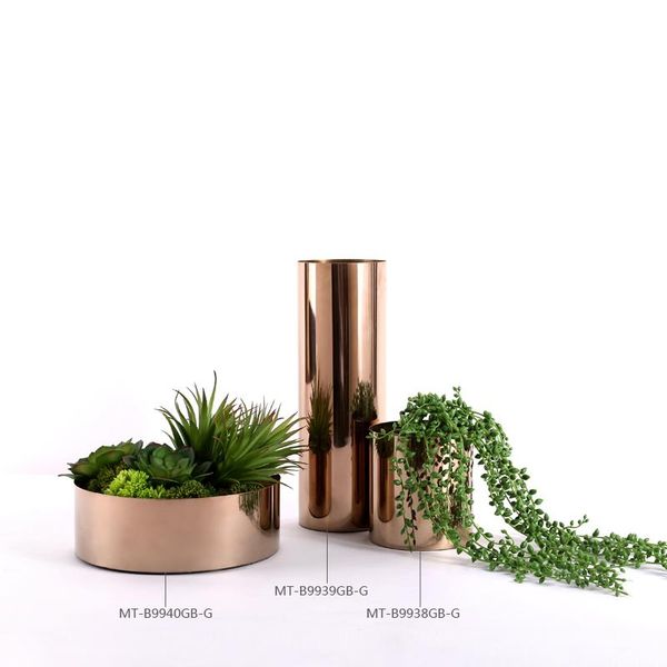 vases original design succulent plants flower vase home decoration modern gold metal stainless steel
vases original design succulent plants flower vase home decoration modern gold metal stainless steel