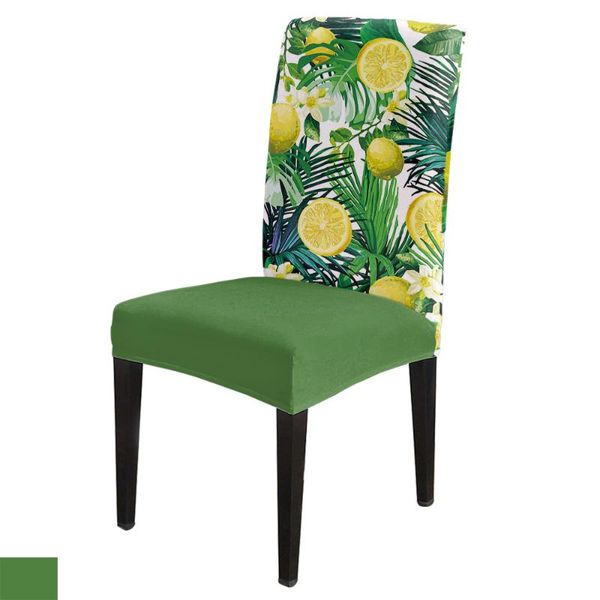chair covers flowers tropical leaves cover spandex elastic el wedding supplies dining stretch
chair covers flowers tropical leaves cover spandex elastic el wedding supplies dining stretch