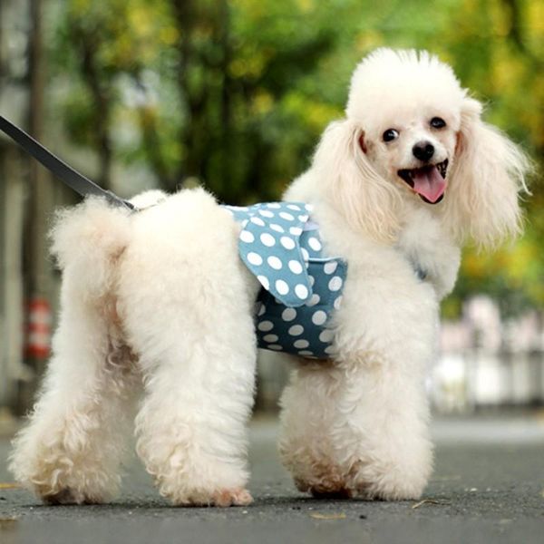 pet adjustable harness dog cat breathable small chest strap traction rope products # collars & leashes
pet adjustable harness dog cat breathable small chest strap traction rope products # collars & leashes