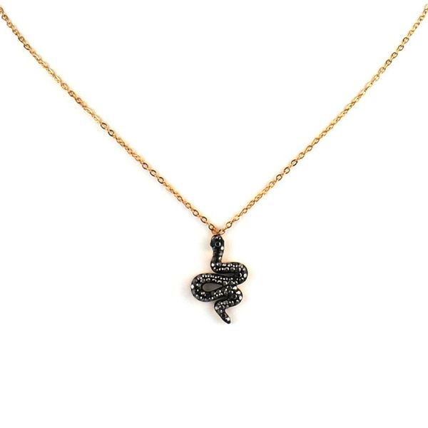 chains punk chain necklace for women stainless steel snake charms women's geometry jewelry, Silver
chains punk chain necklace for women stainless steel snake charms women's geometry jewelry, Silver