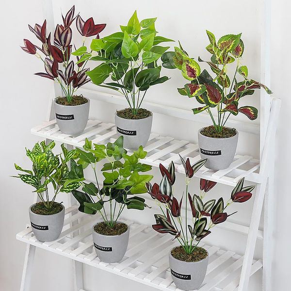 decorative flowers & wreaths nordic ins simulation plants green cement pots potted for living room and office indoor greenery fake
decorative flowers & wreaths nordic ins simulation plants green cement pots potted for living room and office indoor greenery fake