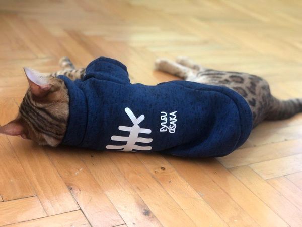 dog apparel pet clothes autumn winter warm for cats dogs kitty kitten coat jackets printed cat costumes clothing outfits
dog apparel pet clothes autumn winter warm for cats dogs kitty kitten coat jackets printed cat costumes clothing outfits