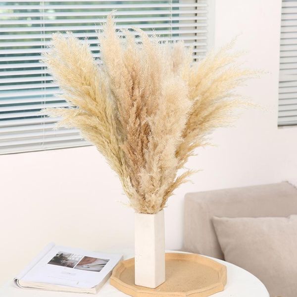 80cm pampas grass decor extra large natural dried flowers bouquet wedding decoration for home living room office decorative & wreaths
80cm pampas grass decor extra large natural dried flowers bouquet wedding decoration for home living room office decorative & wreaths