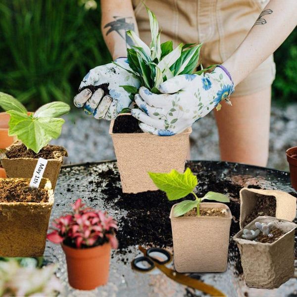 seed starter peat gardening seedling cup environmental pulp molded flower pot planters & pots
seed starter peat gardening seedling cup environmental pulp molded flower pot planters & pots
