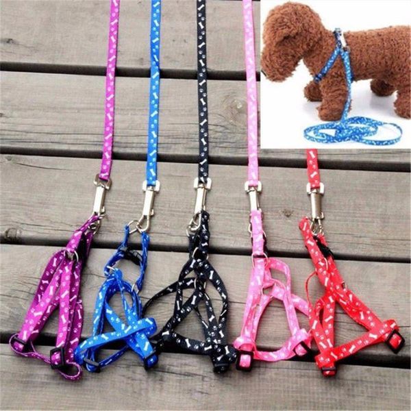 dog collars & leashes small pet cat puppy kitten harness lead leash collar same day post 2
dog collars & leashes small pet cat puppy kitten harness lead leash collar same day post 2
