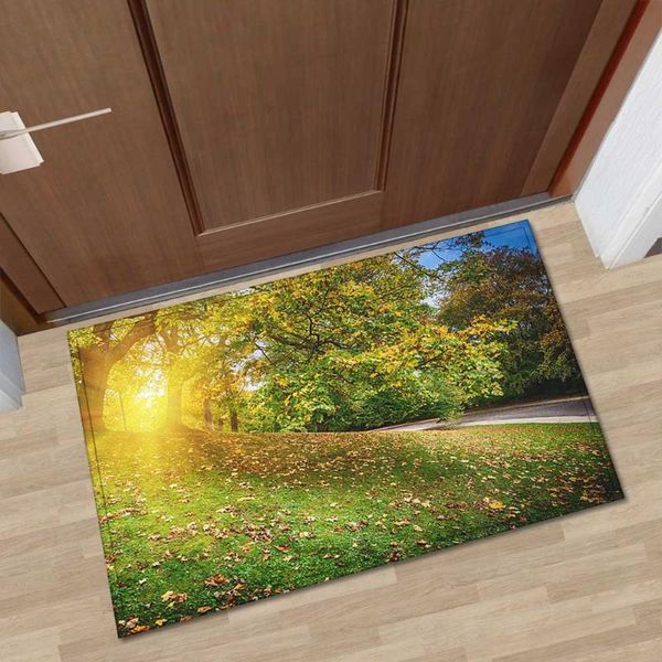 carpets home welcome floor mats 3d scenic printed water absorbent mat for living room bedroom kitchen entrance hallway indoor doormat
carpets home welcome floor mats 3d scenic printed water absorbent mat for living room bedroom kitchen entrance hallway indoor doormat